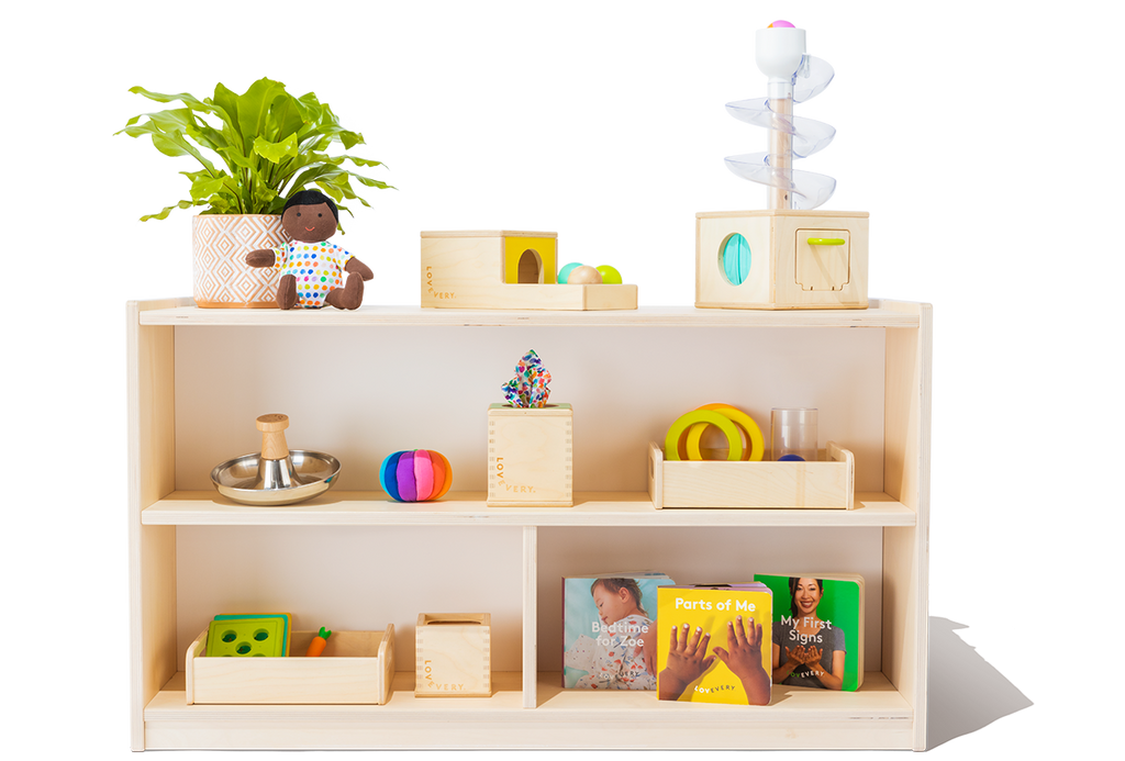 Montessori over traditional curriculum