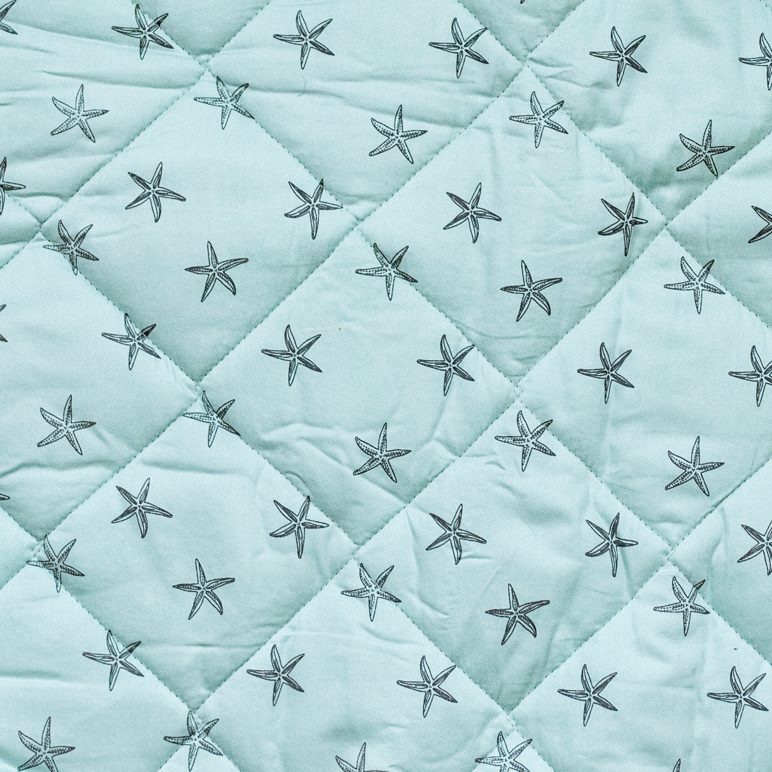 Play Mat / Starfish