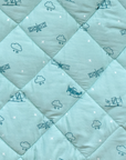 Play Mat / Aeroplane