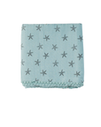 Winter Muslin Blanket