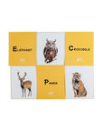 Wild World Animal Flashcards