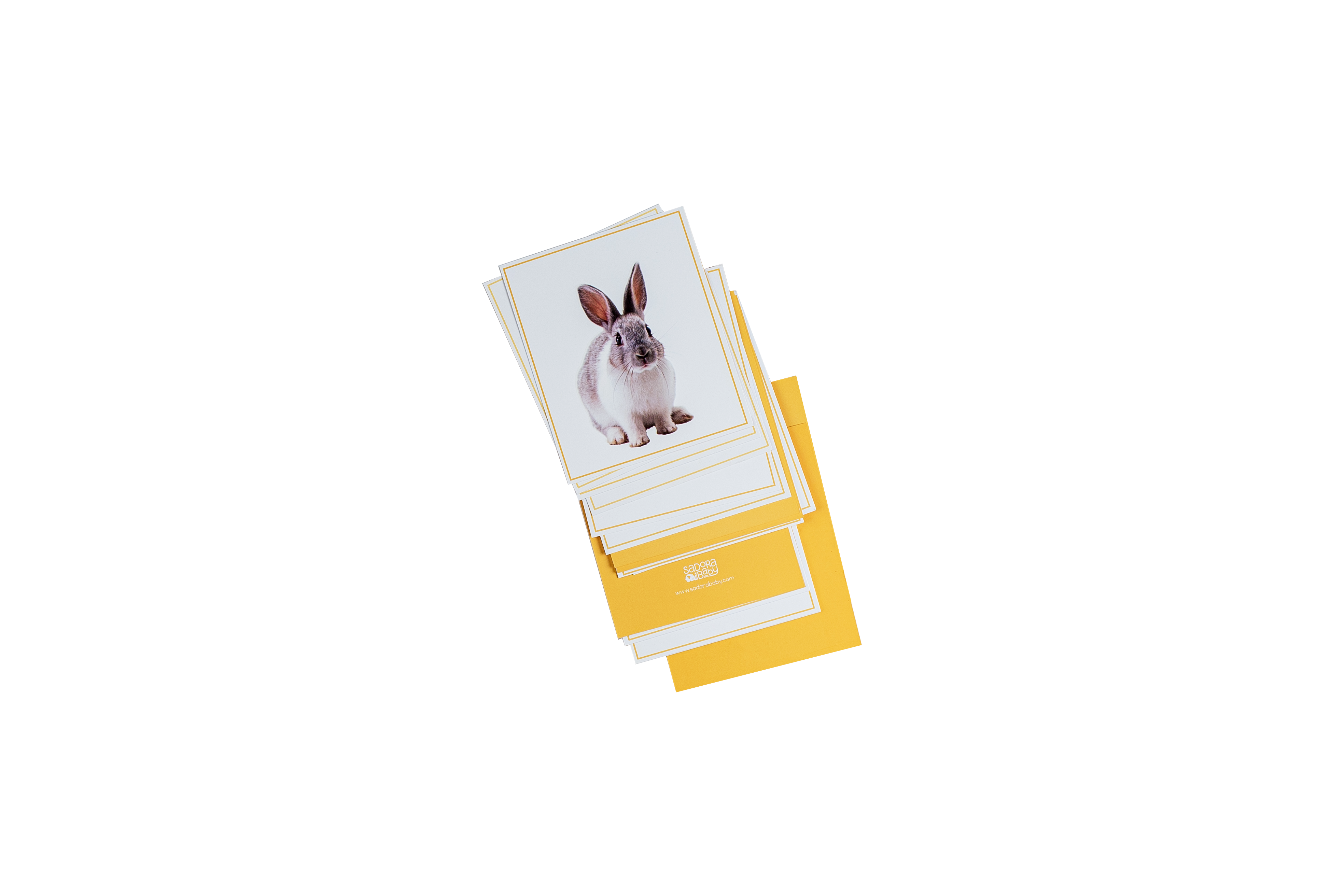 Wild World Animal Flashcards