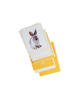 Wild World Animal Flashcards