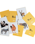 Wild World Animal Flashcards