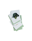 Veggie Vision Flashcards