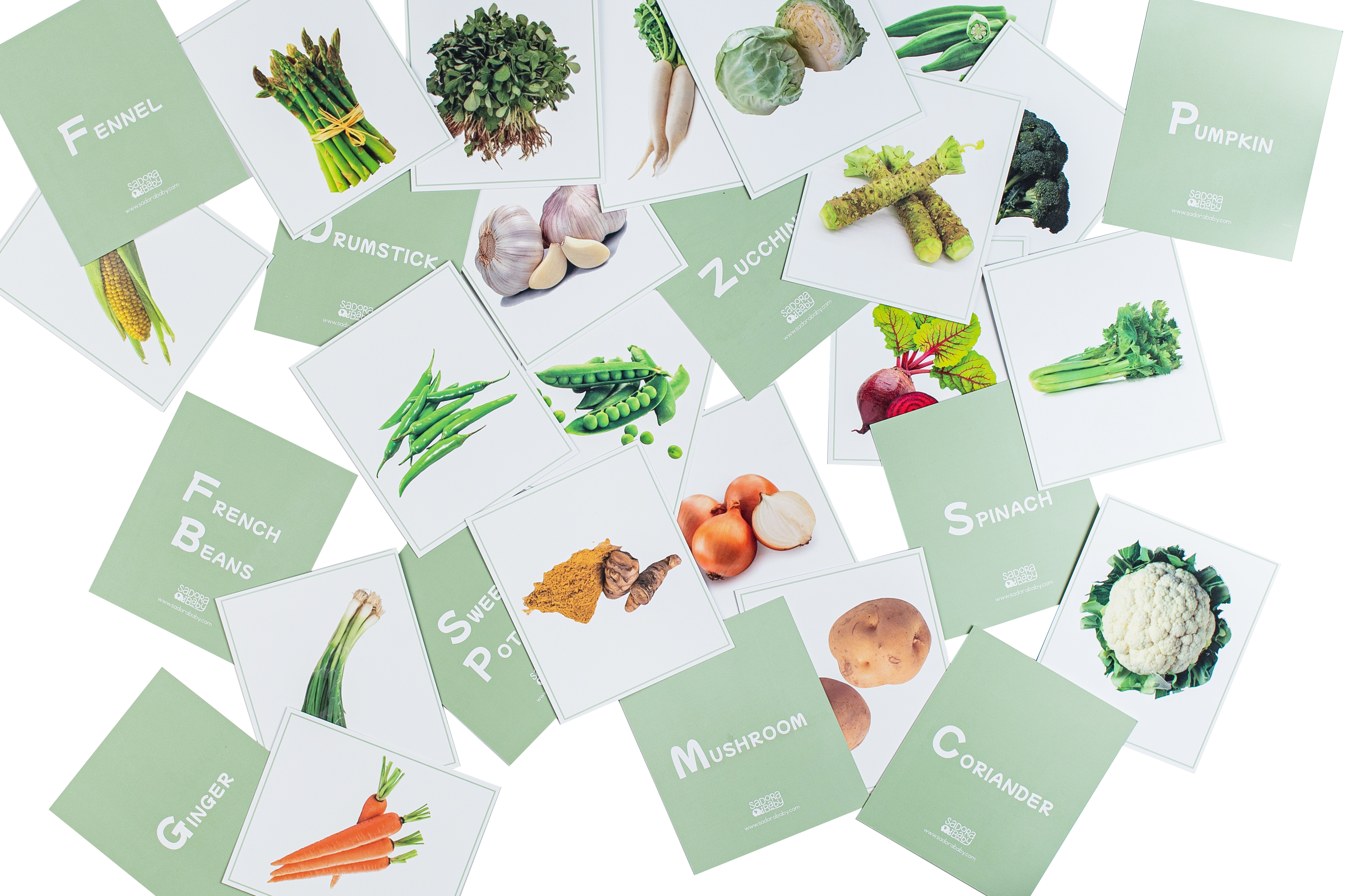 Veggie Vision Flashcards