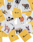 Wild World Animal Flashcards