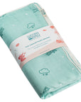 Two Layered Muslin Blanket / Aeroplane