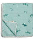 Two Layered Muslin Blanket / Aeroplane