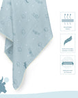 Two Layered Muslin Blanket / Aeroplane