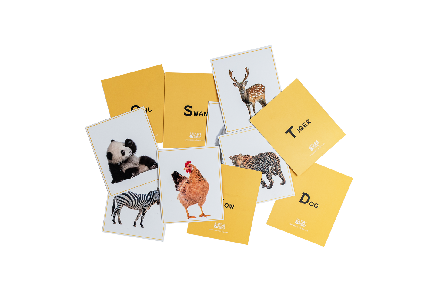 Wild World Animal Educational Flashcards for Newborns Online Sadora Baby
