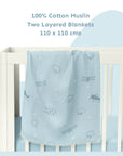 Two Layered Muslin Blanket / Aeroplane